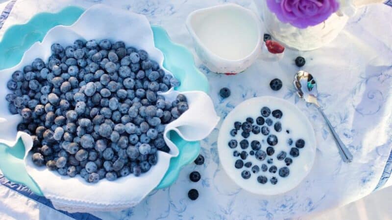 Rola wapnia i witaminy D w diecie dzieci